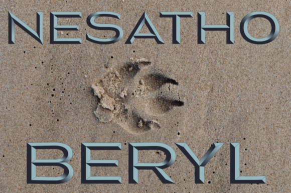 Nesatho-Beryl: The Bold Color Font for Modern Design